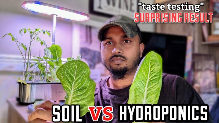 Soil vs Hydroponics !! Lettuce Tasting"Surprising Result" #garden #hydroponics #gardening