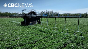 半分の農業投資で水を守る！？農業ロボットの実態と今後の可能性