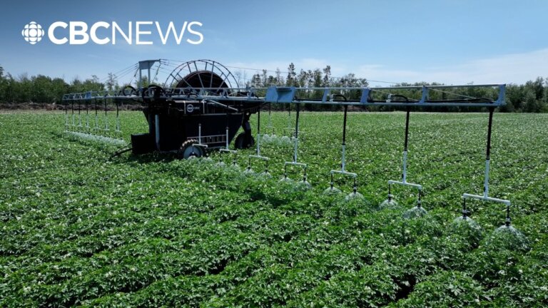Why farmers are betting half a million dollars on this irrigation robot