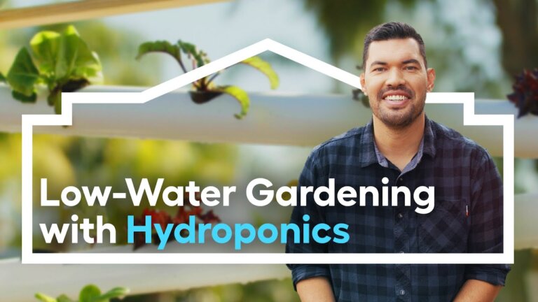 Low-Water Edible Gardening with Hydroponics /// Grow Anywhere
