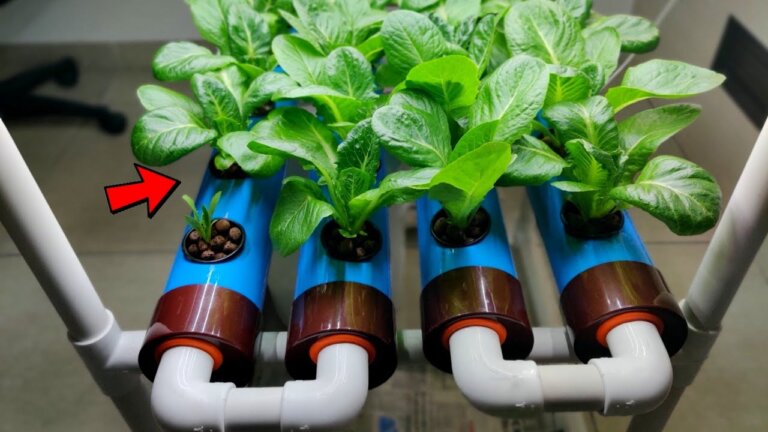 HYDROPONIC Farming at Home | Hydroponic Growing System for Beginners