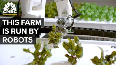 【話題】ロボットが育てる食料：30倍の生産効率を実現する新技術とは？