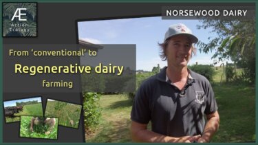牛乳生産から再生型農業へ：NZの牧草地が持つ驚きの力