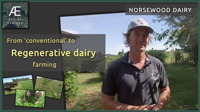 Regenerative Agriculture NZ Farm Tour 2021: S01E03 - Russell Heald : Norsewood Dairy, Manawatu