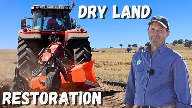 Rehydrating Dead Land: Natural Sequence Farming Fixes Soil