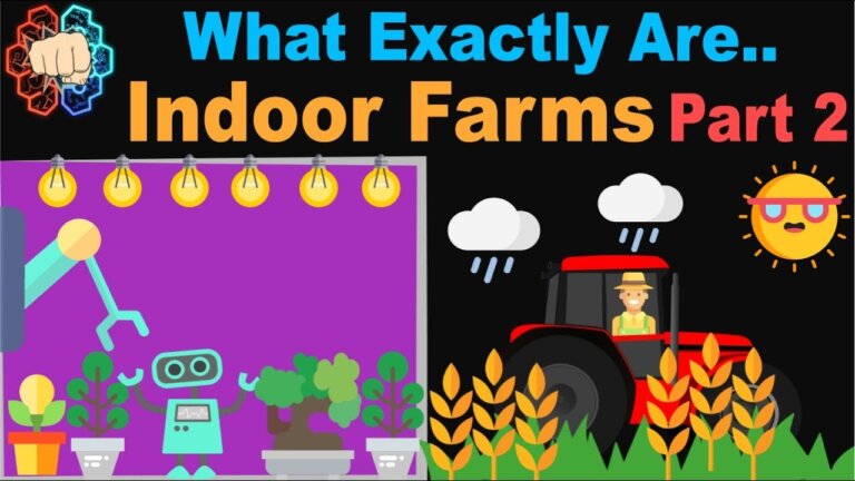 What Are Indoor Farms: The Future of Farming