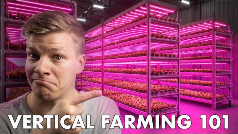What is Vertical Farming and HOW DOES IT WORK?