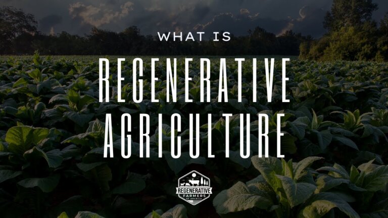 Regenerative Agriculture - Why it matters!