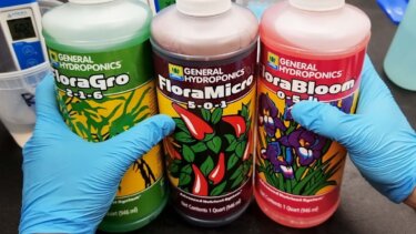 【人気】General HydroponicsのTrioで水耕栽培の実践方法を徹底解説！
