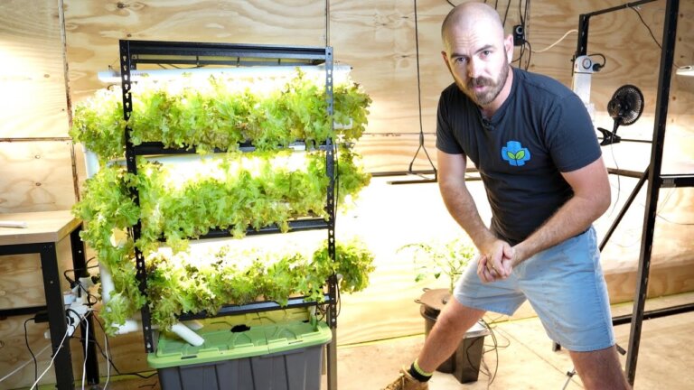 DIY Home Hydroponics: Indoor Vertical System Set Up & Timelapse