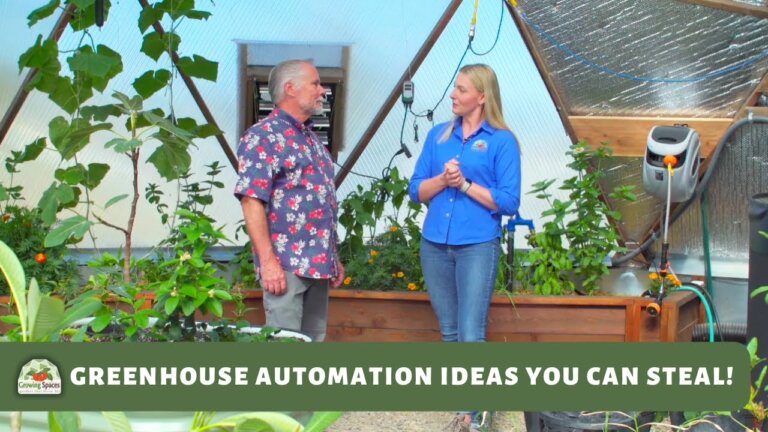 How to Automate Your Greenhouse for Effortless Growing: Steve Nutt's 33' Growing Dome