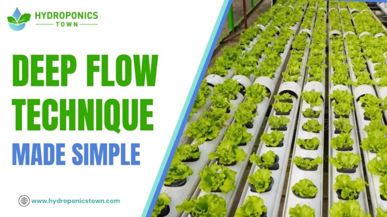 How to Set Up Deep Flow Technique DFT for Hydroponics - HydroponicsTown