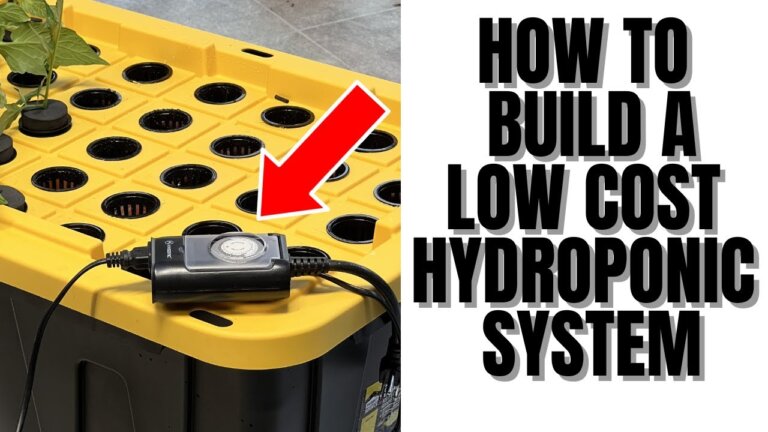 How To Build A Low Cost Hydroponic/Aeroponic System For Beginners