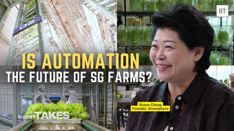 Inside the world’s tallest hydroponic megafarm (in Singapore)