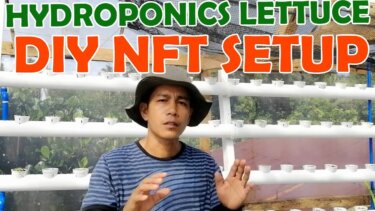 NFT水耕システム構築ガイド｜DIYで作る垂直農業の基本手順