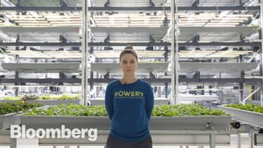 【再生数200万回突破】垂直農業の未来像｜Bowery Farmingが示す人間とロボットの協働