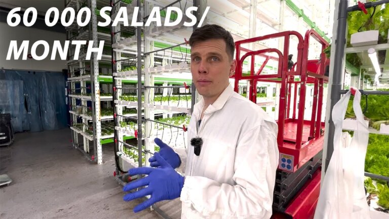Visiting a Giant Vertical Farm in Norway