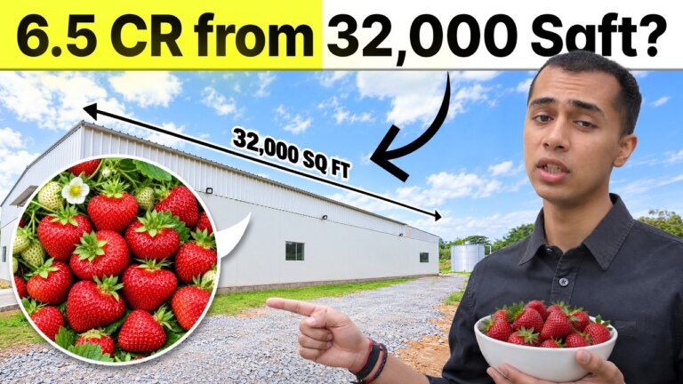Inside A Strawberry Vertical Farm | Vertical Farming in India | AgriTalk