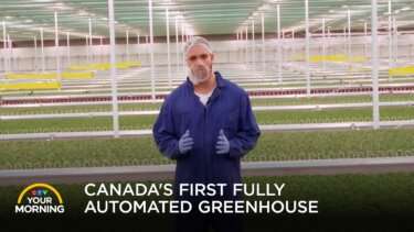Haven Greens｜カナダの完全自動化温室で見る農業の未来