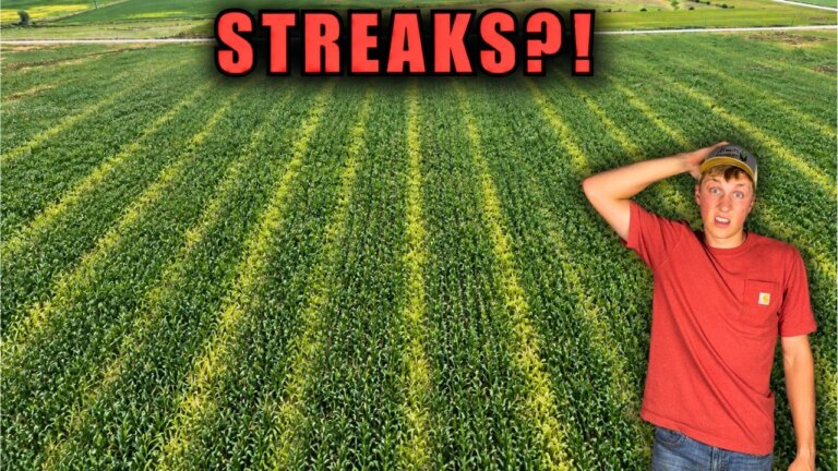 Do Spray Drones Leave Streaks? I Went Looking…