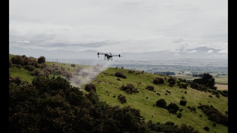 DJI Agricultural Spray Drone Operations - New Zealand
