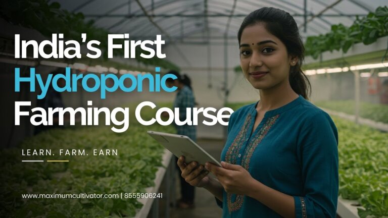 India’s First Hydroponic Farming Course — Here’s How It Works!
