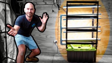 【注目】60ワットLEDライト搭載の垂直水耕システム構築手順