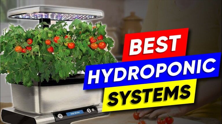 Top 3 Indoor Hydroponic Systems in 2026👌