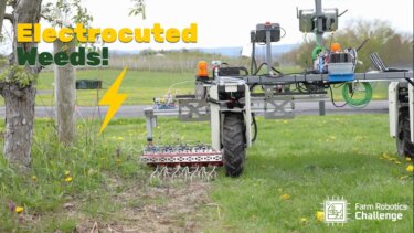 電気式除草ロボットが農業に与える影響｜Zapping Weedsの導入事例