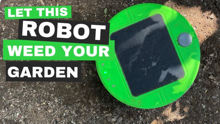 Let this robot weed your garden: Tertill Review 2021