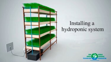 水耕栽培システムの設置手順と栽培実践法｜農業者向けガイド