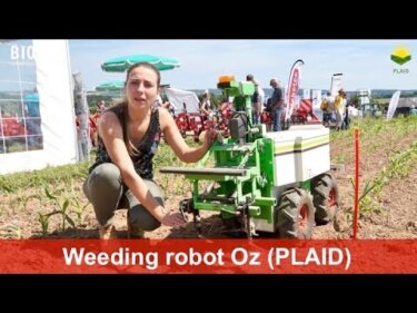 Ozロボットで野菜生産の効率化｜小規模農家向けの除草ロボットの実態