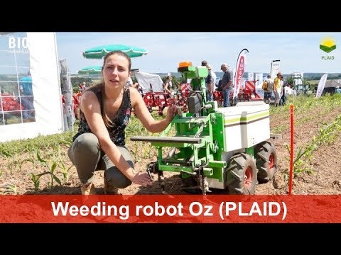 Oz - A weeding robot for smaller vegetable producers