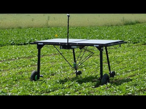 The Future of Farming: Ecorobotix, the Solar-Powered Weeding Robot