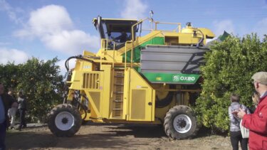 柑橘の機械収穫技術の実際｜Agromilloraグループの2019年の導入事例