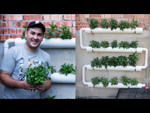 How To Make inexpensive Hydroponic System and start Hydroponics Garden At home 2021.