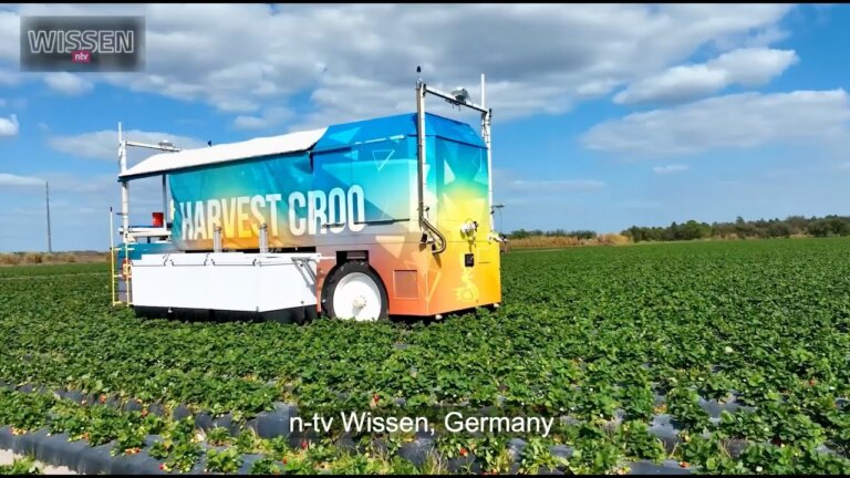 Autonomous Robotic Strawberry Harvesting - Harvest CROO, Tampa Florida - video from TV Wissen