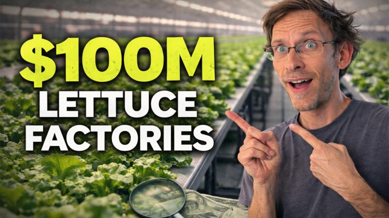 Why Vertical Farms Only Grow Lettuce (It's Not What You Think)