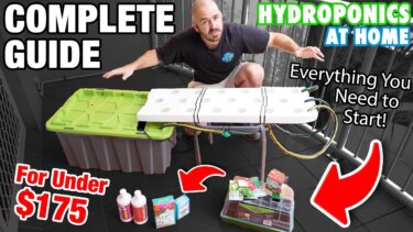 【話題】175ドルで作る小規模水耕栽培システム｜DIYで気軽に始める方法
