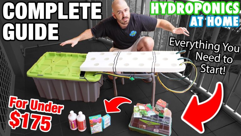 DIY Small Space Hydroponic System Setup for Under $175USD! ($242 AUD)