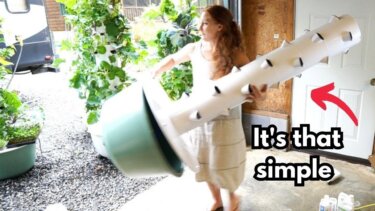 タワーガーデンの組み立て方｜スマート農業の導入事例とコスト分析