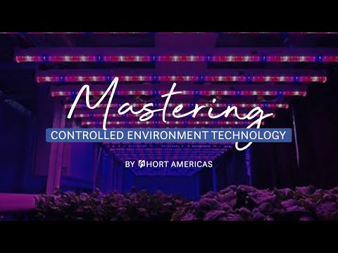 Mastering CEA Management: Vertical Farming Systems