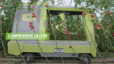 トマト収穫の自動化に挑戦｜MetoMotionの温室ロボットの実態