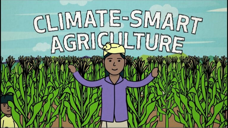 Climate-Smart Agriculture in Action