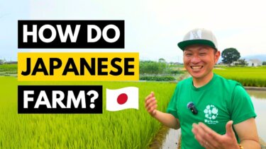日本農業の秘密：清浄な水と高効率機械化の実態