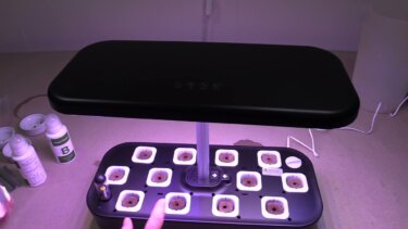 水耕栽培システムの設置手順｜家庭菜園向けの実践ガイド