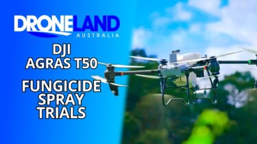 DJI Agras T50によるブドウ園のスプレー試験｜農業ドローンの精度と効率性