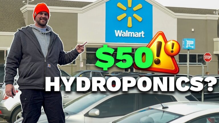 Can I Build a Hydroponic System for $50 at Walmart?