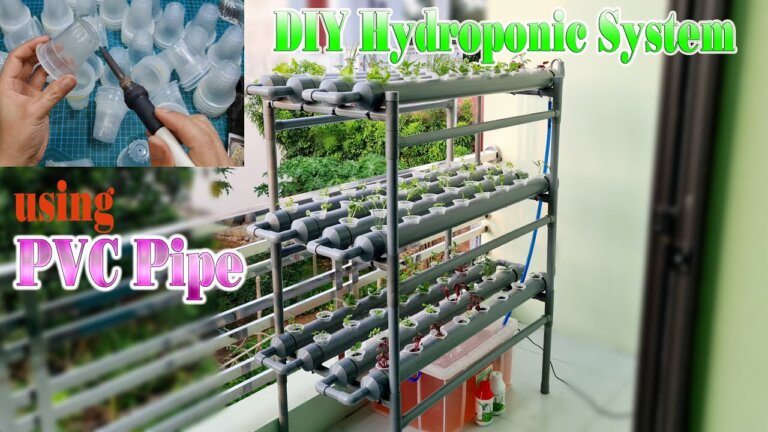 DIY Hydroponic System at Home Using PVC Pipe – Easy Tutorial