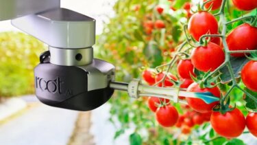 トマト収穫ロボットの実態｜スマート農業の現実と導入のポイント